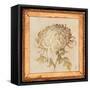 Chrysanthemum Floret Detail-Lauren Hamilton-Framed Stretched Canvas