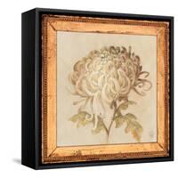 Chrysanthemum Floret Detail-Lauren Hamilton-Framed Stretched Canvas