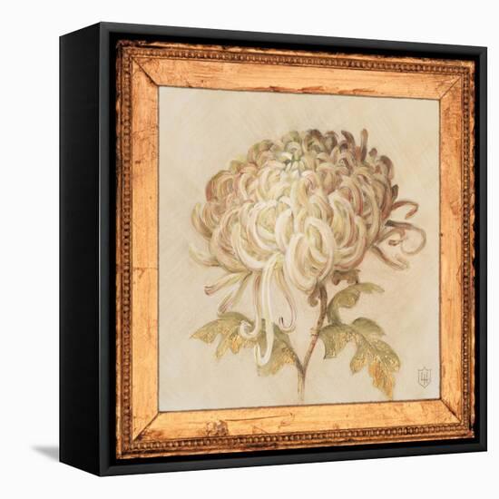 Chrysanthemum Floret Detail-Lauren Hamilton-Framed Stretched Canvas