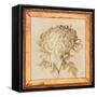 Chrysanthemum Floret Detail-Lauren Hamilton-Framed Stretched Canvas