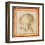 Chrysanthemum Floret Detail-Lauren Hamilton-Framed Art Print