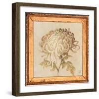 Chrysanthemum Floret Detail-Lauren Hamilton-Framed Art Print