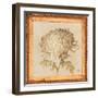 Chrysanthemum Floret Detail-Lauren Hamilton-Framed Art Print