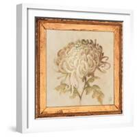 Chrysanthemum Floret Detail-Lauren Hamilton-Framed Art Print