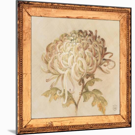 Chrysanthemum Floret Detail-Lauren Hamilton-Mounted Art Print