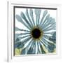 Chrysanthemum H68-Albert Koetsier-Framed Premium Giclee Print