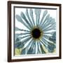 Chrysanthemum H68-Albert Koetsier-Framed Premium Giclee Print