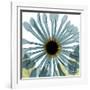 Chrysanthemum H68-Albert Koetsier-Framed Premium Giclee Print