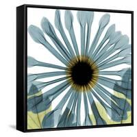 Chrysanthemum H68-Albert Koetsier-Framed Stretched Canvas