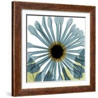 Chrysanthemum H68-Albert Koetsier-Framed Premium Giclee Print