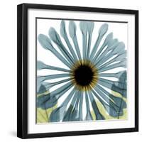 Chrysanthemum H68-Albert Koetsier-Framed Premium Giclee Print