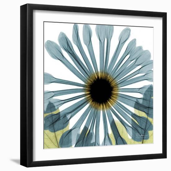 Chrysanthemum H68-Albert Koetsier-Framed Premium Giclee Print