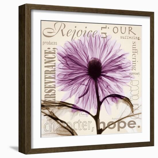 Chrysanthemum Hope-Albert Koetsier-Framed Art Print