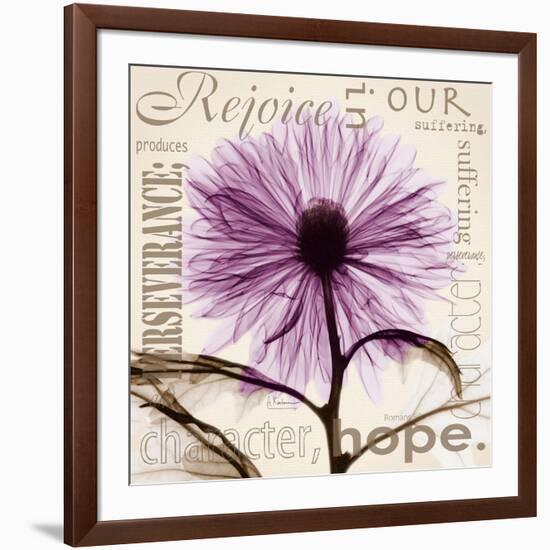 Chrysanthemum Hope-Albert Koetsier-Framed Art Print