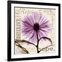 Chrysanthemum Hope-Albert Koetsier-Framed Art Print