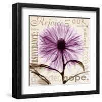 Chrysanthemum Hope-Albert Koetsier-Framed Art Print