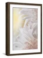 Chrysanthemum I-Kathy Mahan-Framed Photographic Print