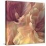 Chrysanthemum III-David Pollard-Stretched Canvas