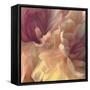 Chrysanthemum III-David Pollard-Framed Stretched Canvas