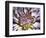 Chrysanthemum in Bloom-null-Framed Photographic Print