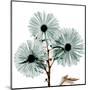 Chrysanthemum Love-Albert Koetsier-Mounted Art Print