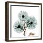 Chrysanthemum Love-Albert Koetsier-Framed Premium Photographic Print