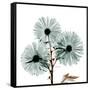 Chrysanthemum Love-Albert Koetsier-Framed Stretched Canvas