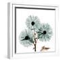 Chrysanthemum Love-Albert Koetsier-Framed Photographic Print