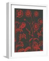 Chrysanthemum, no. 10-null-Framed Art Print