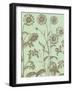 Chrysanthemum, no. 11-null-Framed Art Print