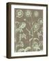 Chrysanthemum, no. 12-null-Framed Art Print