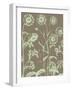 Chrysanthemum, no. 12-null-Framed Art Print