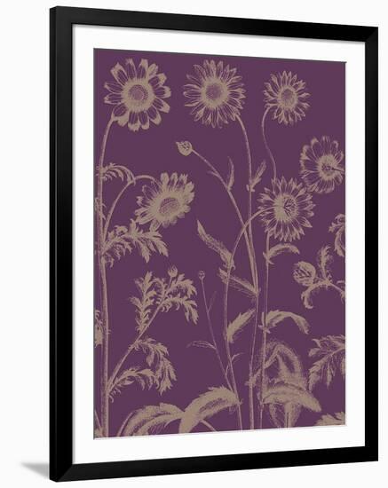 Chrysanthemum, no. 13-null-Framed Art Print