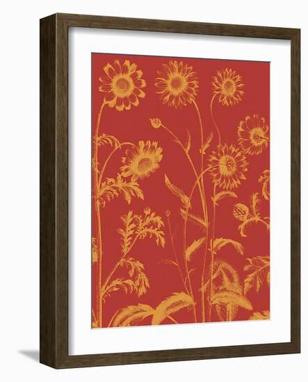 Chrysanthemum, no. 16-null-Framed Art Print