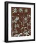 Chrysanthemum, no. 17-Botanical Series-Framed Giclee Print