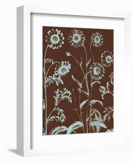 Chrysanthemum, no. 17-Botanical Series-Framed Giclee Print