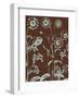 Chrysanthemum, no. 17-Botanical Series-Framed Giclee Print