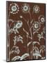 Chrysanthemum, no. 17-Botanical Series-Mounted Giclee Print