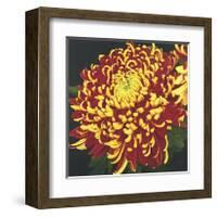 Chrysanthemum, no. 1-Elizabeth Hellman-Framed Giclee Print