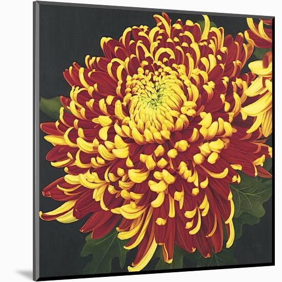 Chrysanthemum, no. 1-Elizabeth Hellman-Mounted Giclee Print