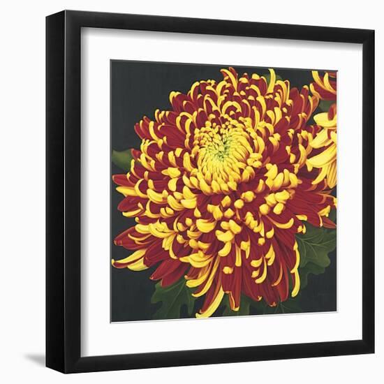 Chrysanthemum, no. 1-Elizabeth Hellman-Framed Giclee Print