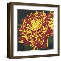 Chrysanthemum, no. 1-Elizabeth Hellman-Framed Giclee Print