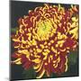 Chrysanthemum, no. 1-Elizabeth Hellman-Mounted Giclee Print