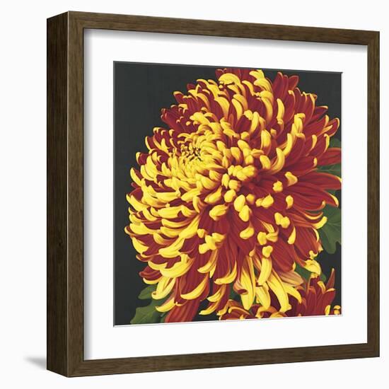 Chrysanthemum, no. 2-Elizabeth Hellman-Framed Giclee Print