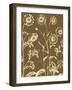 Chrysanthemum, no. 3-null-Framed Art Print