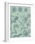 Chrysanthemum, no. 8-null-Framed Art Print