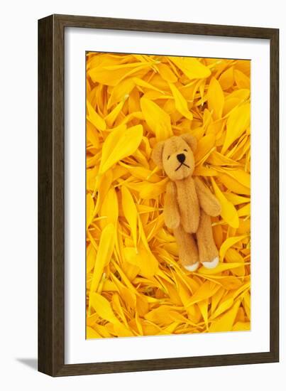 Chrysanthemum Petals-Den Reader-Framed Photographic Print