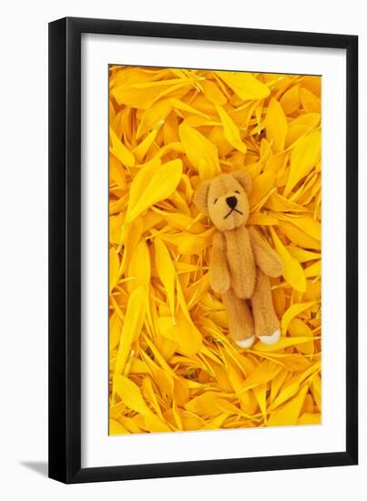 Chrysanthemum Petals-Den Reader-Framed Photographic Print