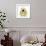 Chrysanthemum Pop-Albert Koetsier-Framed Photographic Print displayed on a wall