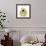 Chrysanthemum Pop-Albert Koetsier-Framed Photographic Print displayed on a wall